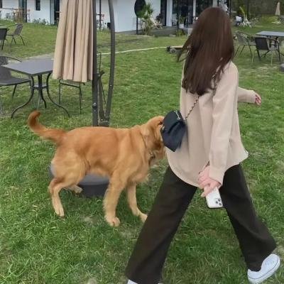 蝴蝶梦
